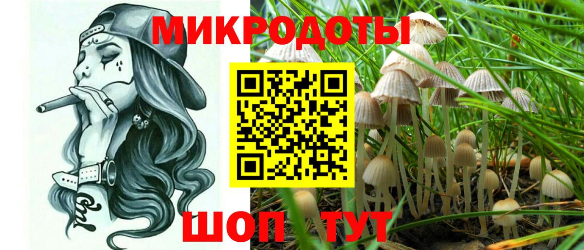 Псилоцибиновые грибы MAGIC MUSHROOMS  Вход с VPN  Лесозаводск 