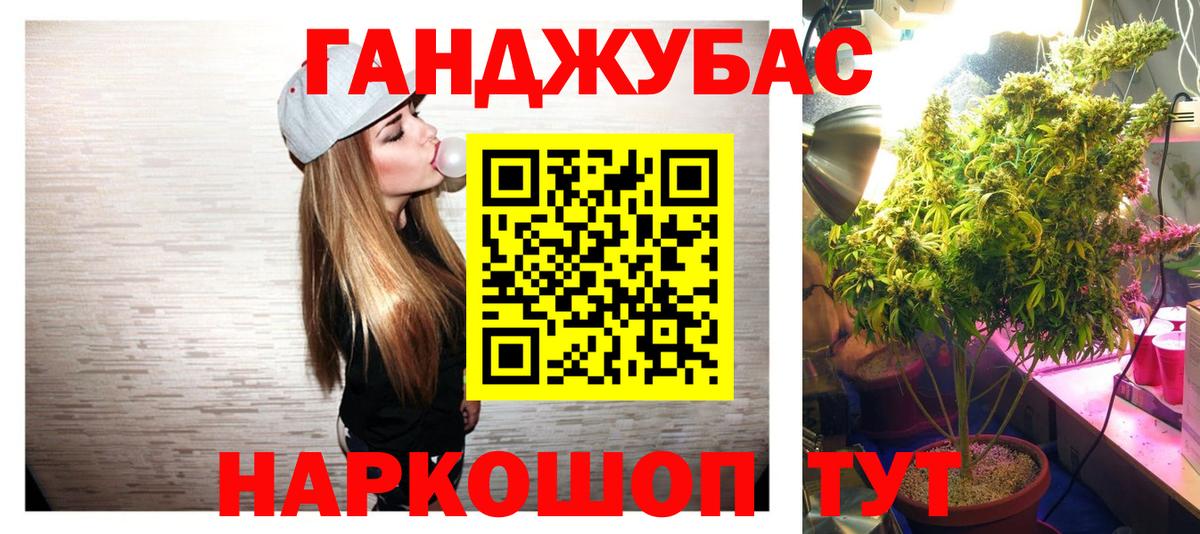 Конопля сатива  Вход с VPN  Конопля Amnesia  Бошки марихуана семена  Лесозаводск 