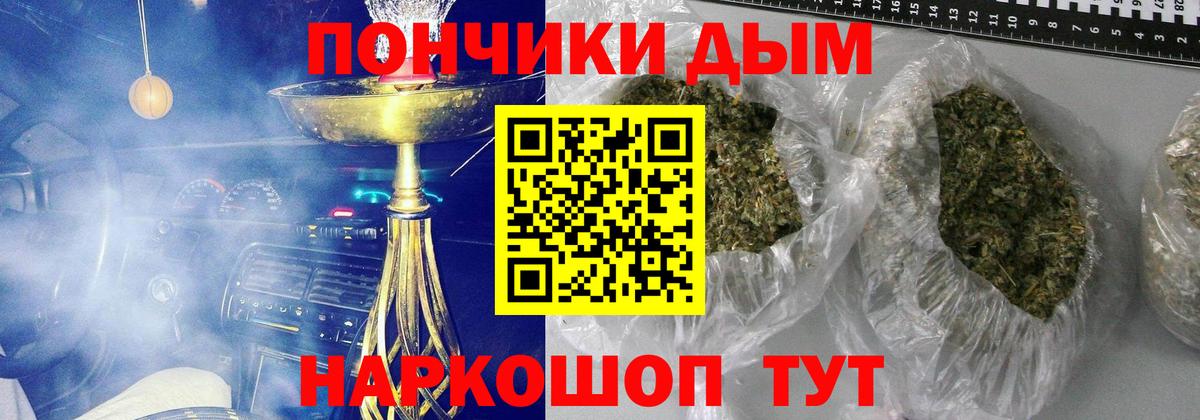 Конопля сатива Лесозаводск